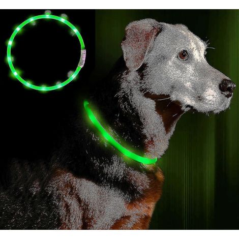Collier lumineux LED pour chien, rechargeable par USB - collier de sécurité pour animaux de compagnie à longueur réglable, compatible avec W (1/2)