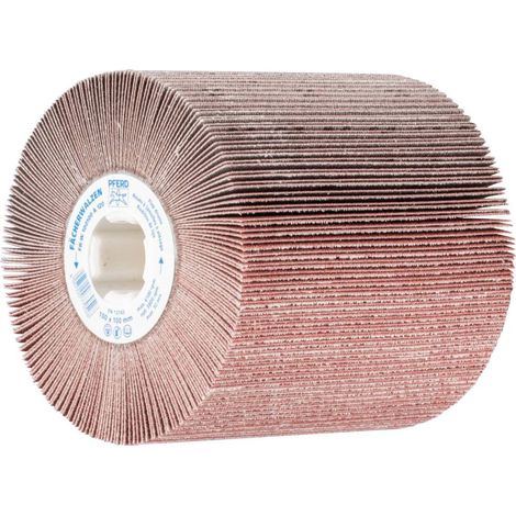 Roues à lamelles FR-W Pferd - 120 (1/3)