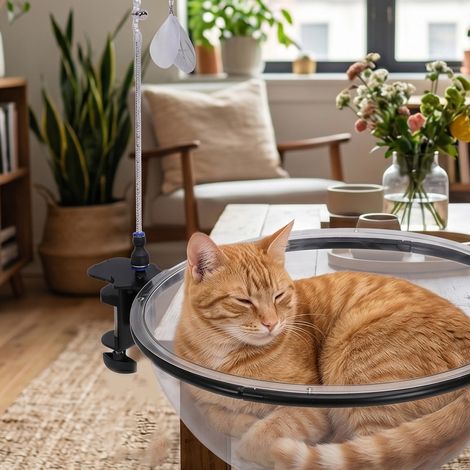 Panier bureau semi gamelle forme côté table pour chat bureau maison transparent pliable - facile à nettoyer, matériau sûr et durable (1/5)