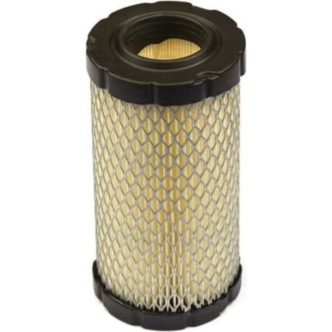 Geeignet für BRIGGS AND STRATTON Luftfilter 796031 (1/4)