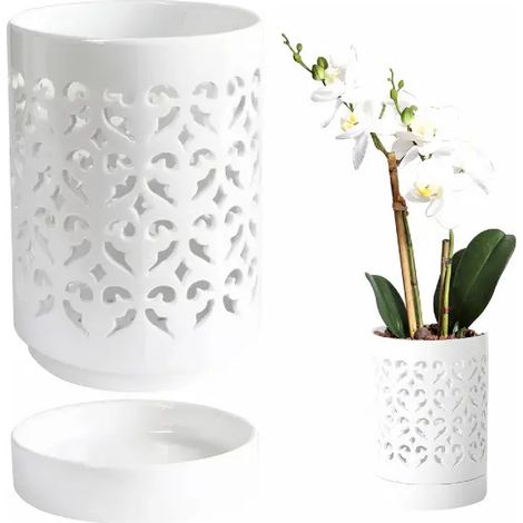 Pots à bonsaï épais, lot de 4, Welcome Pine Lands (1/5)