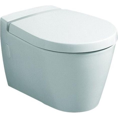 Geberit Visit WC Sitz 576310000 weiß, mit Senkautomatik (1/4)