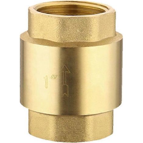 Clapet anti-retour en laiton, entrée et sortie filetées 1", convient aux pompes, puits et machines à laver. (1/3)