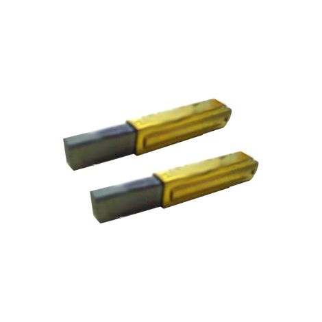 Charbons pour moteur VACUFLO FC540, FC620, FC570 et FC670