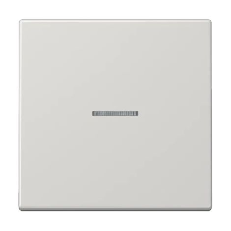 Jung Bascule 1 poste, avec conducteur de lumière, duroplastique, série LS, gris clair LS 990 KO5 LG