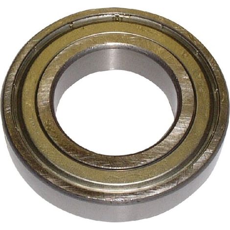 Cuscinetto pilota 36 mm 458410002100 LUK