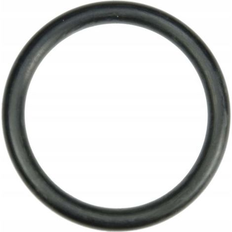 O-Ring-Dichtung 19,3 x 2,4 URSUS C-360 360