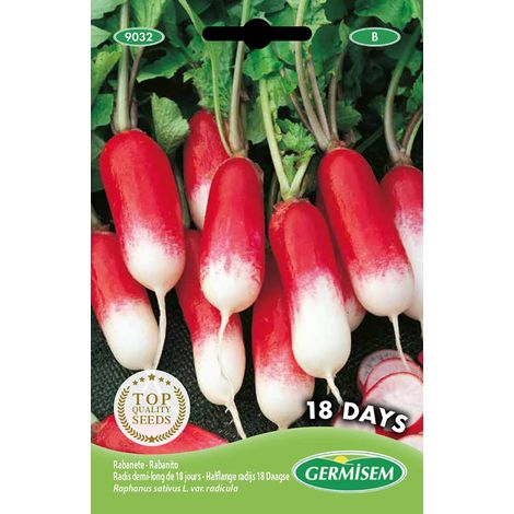 graines Radis demi-long de 18 jours