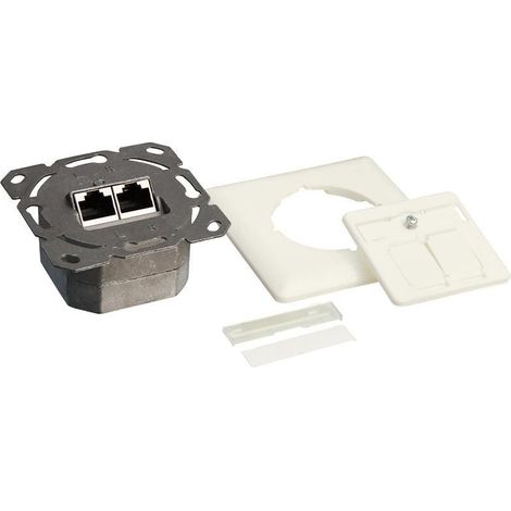 LOGILINK - LOGILINK ANSCHLUSSDOSE KAT.6A, 2 X RJ45, REINWEIß (RAL9010) NP0021