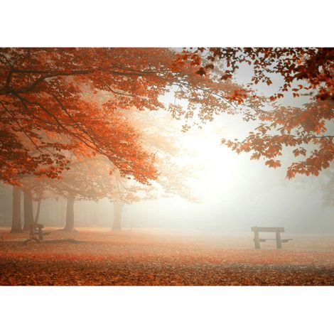 Tableau automne pour couloir | Tableau paysage rouge & gris avec parc et arbre | Tableau sur toile idéal pour bureau & salon - 0,7 x 0,5 m (1/2)