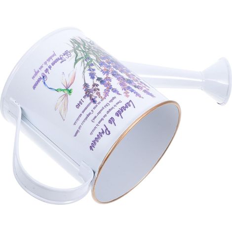 Decorative and Multifunctional Watering Can for Gardening