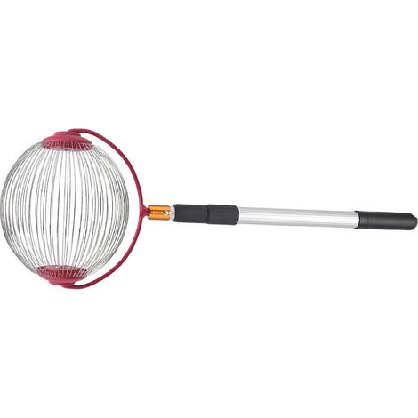 Ramasse-noix à rouleaux, collecteur de noix réglable en acier inoxydable, ajustable pour la collecte des noix et des noix sauvages. (1/5)