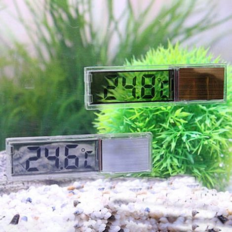 Thermomètre électronique numérique à écran LCD externe pour aquariums (1/5)