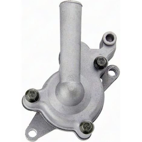 Wasserpumpenbaugruppe für Linhai Buyang LH250 LH300 250CC 260CC 300CC ATVs (1/5)
