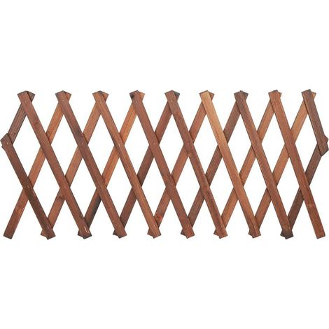 Treillis extensible en pin pour plantes grimpantes – Dimensions ajustables 120 x 35cm, 155 x 30cm, 180 x 25cm – Support robuste pour vignes et fleurs (1/5)