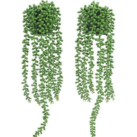 Plantes artificielles suspendues, petites plantes artificielles succulentes, décoration murale , paquet de 2 (1/3)