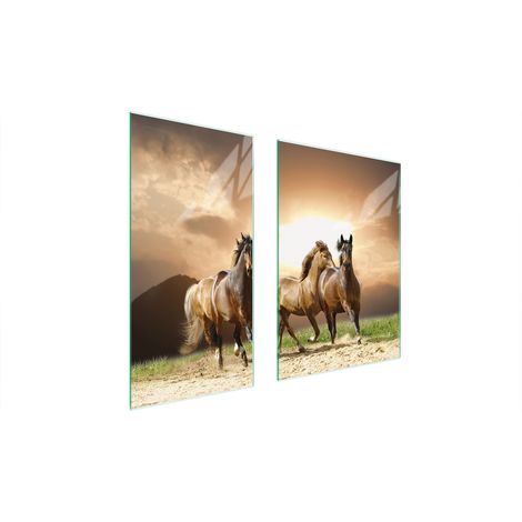 PLAQUE DE PROTECTION EN VERRE 75x52 CHEVAUX (1/5)