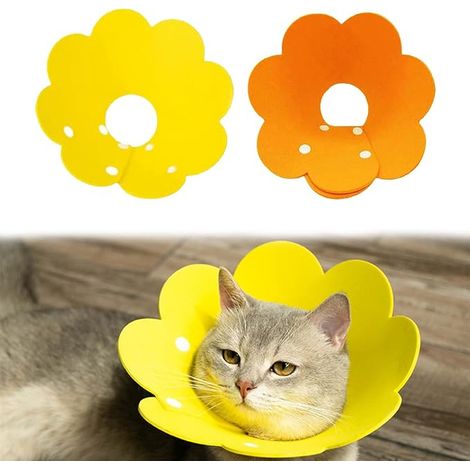 Cat Collar, Cat Collars, Dog Collars, Recovery Collar (1/5)