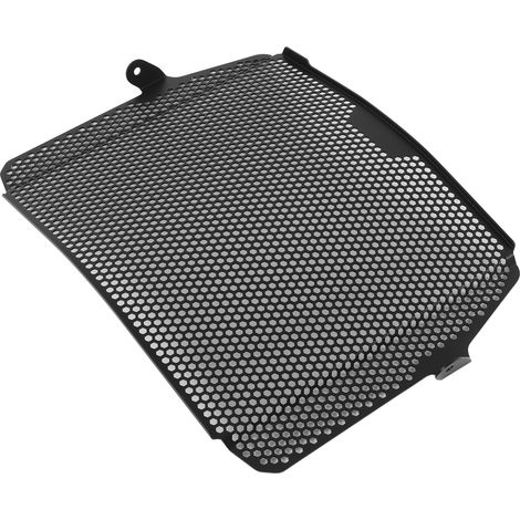 Grille de radiateur/Protection/Accessoires pour moto 765RS Triple SR 2020+ (1/5)