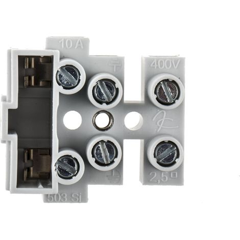 Bloc de jonction RS PRO, 3 pôles , A visser, 6mm², 10A ( Prix pour Paquet de 10 )