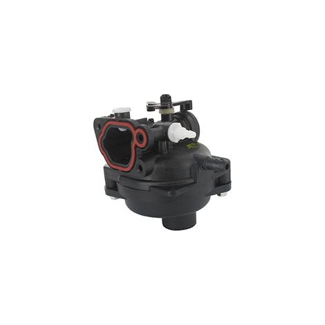 Vergaser BRIGGS ET STRATTON 591160 - 799583