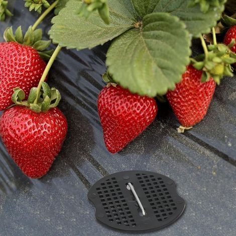 40-teiliges Set Gartenheringe, Planenheringe mit 40 Unterlegscheiben, Befestigungsheringe für Planen, Unkrautvlies, Bodenplanen, Zelte, 15 x 4 cm (1/4)