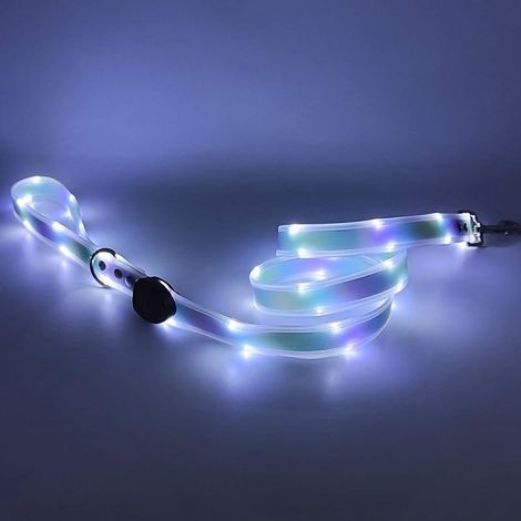 Cani di piccola, media e grande taglia che passeggiano di notte - Guinzaglio per cani - Guinzaglio per cani con 3 modalità di illuminazione - Guinzagli per cani fluorescenti - Ricaricabili (1/5)