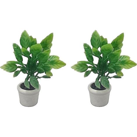 2 mini plantes en pot (1/3)