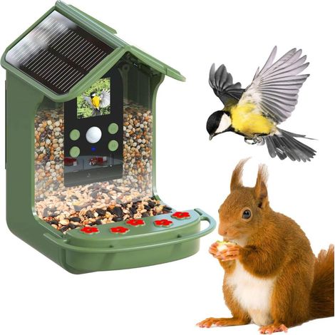 Easypix BirdyCam comedero para pájaros verde Full HD