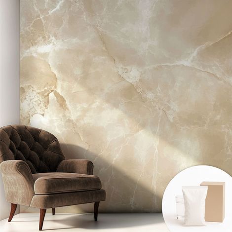 Carta Da Parati Con Design Moderno - Per Rinnovamento Rapido - Non-Woven - Per Interni Moderni Pietra naturale 250x250 cm (1/5)