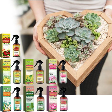 Engrais pour anthuriums, engrais spécial pour plantes d'intérieur en pot et fleurs vertes - Engrais pour lys 100 ml (1/5)