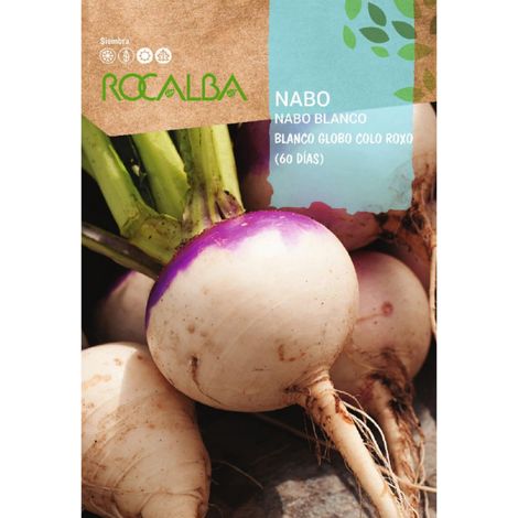 Rokalba Nabo Blanco Globo Colo Roxo (60 Tage) 10G