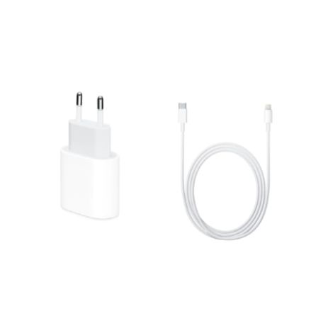 Chargeur 20 W pour iPad Pro 12,9" (2020) + câble de données USB-C vers USB-C de 1,8 m, blanc, en vrac (1/3)
