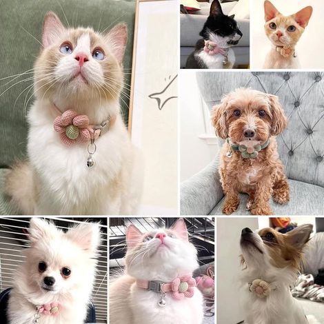 3-teiliges Katzenhalsband-Set mit Glöckchen – Verstellbar – Katzenhalsband – Katzenriemen – Niedlich – für große und kleine Katzen (1/4)