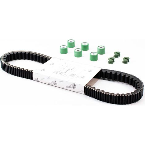 Kit révision Courroie pour GILERA NEXUS 250i H2O 4T de 2007 (1/4)
