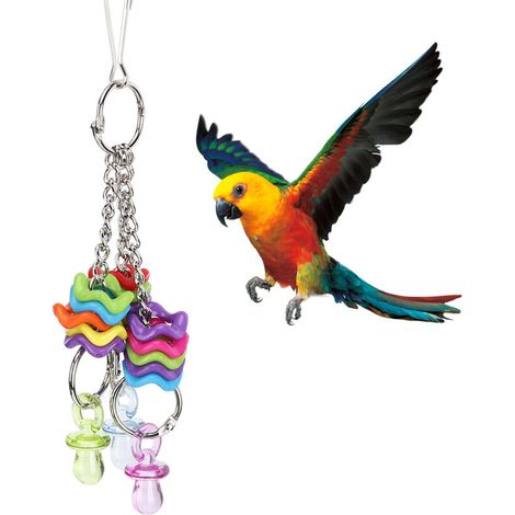 QORVA-Jeffergarden Anneau de mamelon en plastique Non toxique pour perroquet, jouet à mcher et mordre, balanoire suspendue, accessoires pour Cage à oiseaux (1/5)