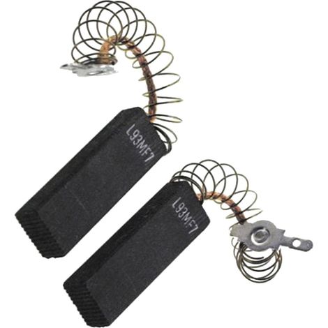 Charbons moteur (x2)
