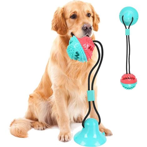 Balle à mâcher pour chien avec ventouse, jouet multifonctionnel avec corde élastique, balle à mâcher pour les dents, adaptée aux sols en bois, carrelage et murs. (1/5)