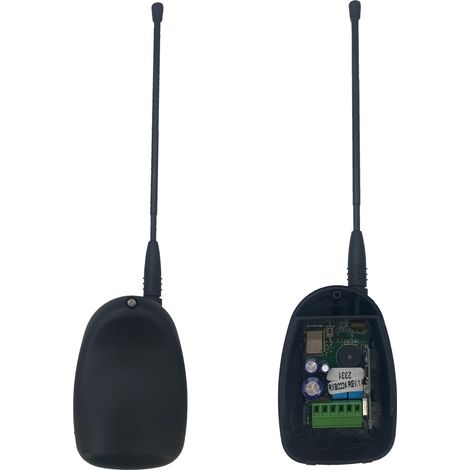 Ricevitore 90600000 2 Canali Radio 433,92 + Bluetooth Incorporato Dfm
