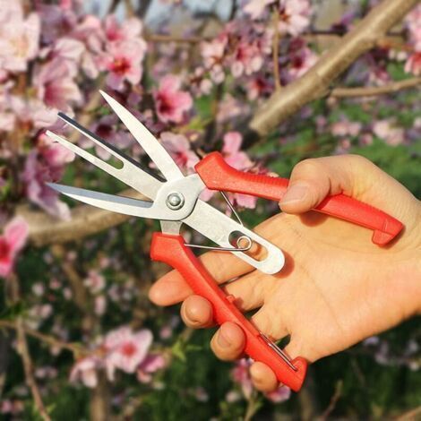 Ahlsen Dual Port Fruit and Flower Thinning Scissors, Garden Pruning Shears Scissors with Comfortable Handle, Perfect for Pruning Plants, Hydroponic Herbs, Picking Flowers (1/4)
