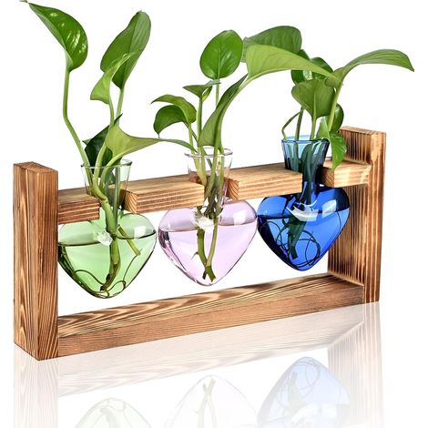 Plant Terrarium Propagation Stations Hydroponics Home Garden Decoration Gift for Women with Wooden Stand Heart Shaped Colored Glass Vase (1/5)