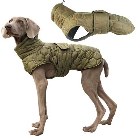 Veste d'hiver pour chien, veste 2 en 1 pour temps froid, veste d'hiver pour chien avec bandes réfléchissantes de sécurité et harnais réglable (taille M)
