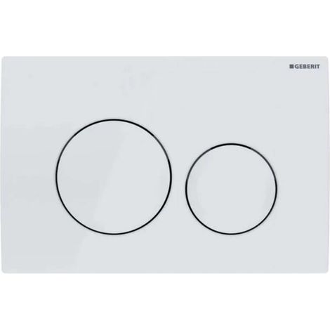 Geberit Delta20 - Pulsador de descarga, blanco alpino 115.127.11.1