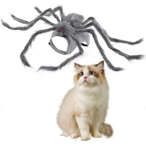 Costume d'araignée pour chats et chiens - S