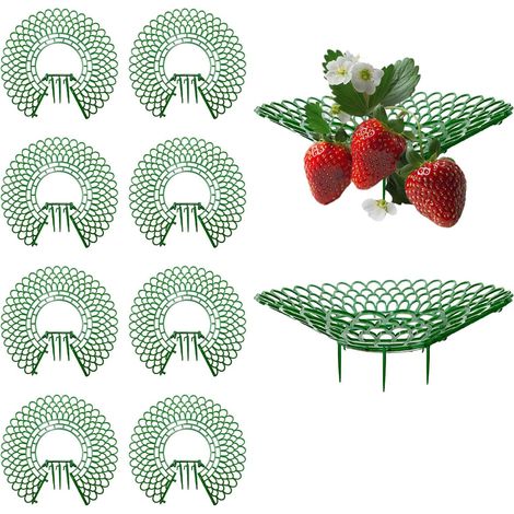 10 Supports Fraisiers, Plastique Vert, Maille Aérée, Pieds Fixes, Installation Rapide, Pour Jardin et Serre