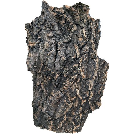 PROGROW KORKINDE 55-70CM 1KG