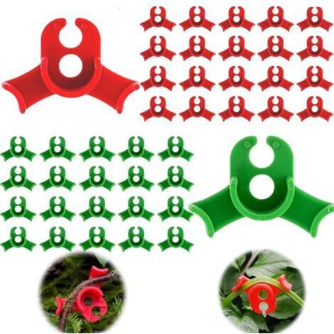 Lot de 40 clips d'entraînement pour plantes, clips en plastique, clips Lst pour soutien de tige de plantes à faible stress, angle de 90 degrés (style cercle, rouge et vert) (1/4)