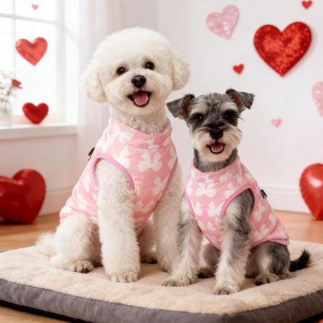 Manteau Chien de Petite Moyenne Taille d'hiver pour Chiens Imperméable Veste Chien Manteau Chiens avec Trous pour Harnais Noel Teckel Chihuahua Rose XS (1/4)