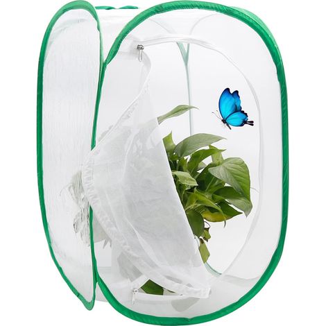 Cage pliable pour insectes avec filet anti-insectes. Habitat pour papillons monarques, cage pour insectes et papillons, récipient en verre, pliable (40 x 40 x 60 cm). (1/5)