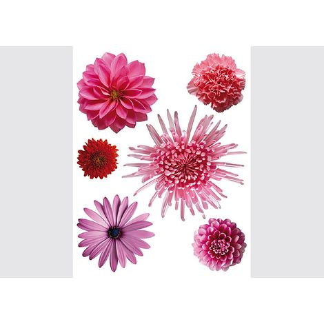 Violet flower big, Grand sticker mural 65 x 85 cm (1/5)